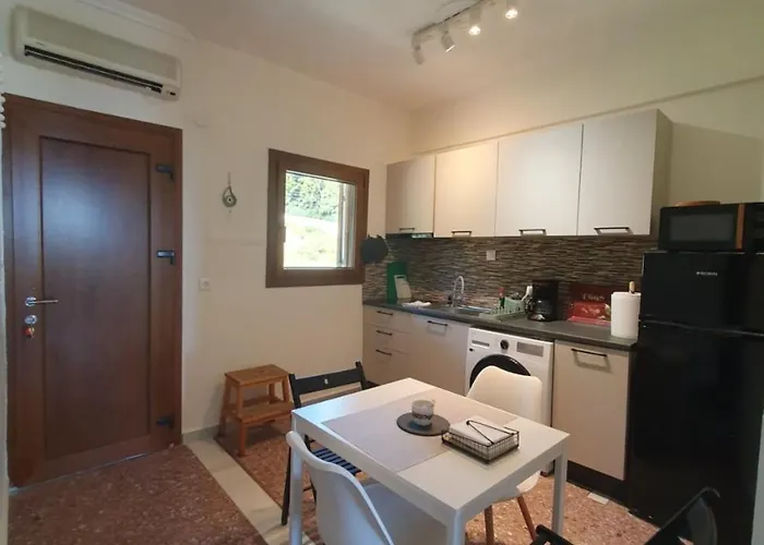 Paralia Homes Ocean Postcard Appartement *